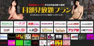 Hey動画月額見放題プランの最新評価2024！登録した感想や安全情報